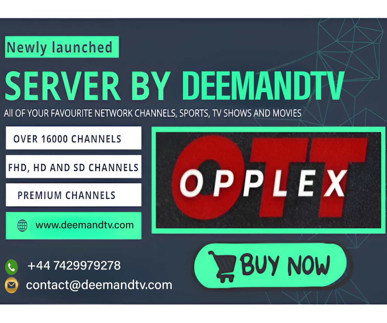B1G IPTV Panel